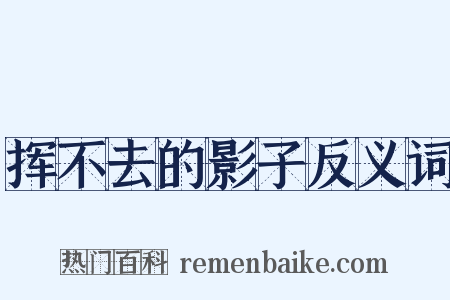 挥不去的影子反义词是什么意思的图片